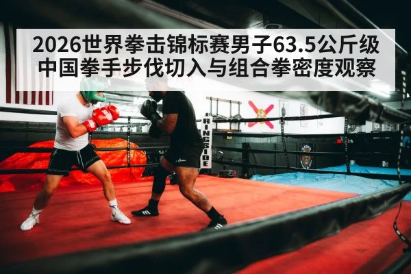2026世界拳击锦标赛男子63.5公斤级中国拳手步伐切入与组合拳密度观察